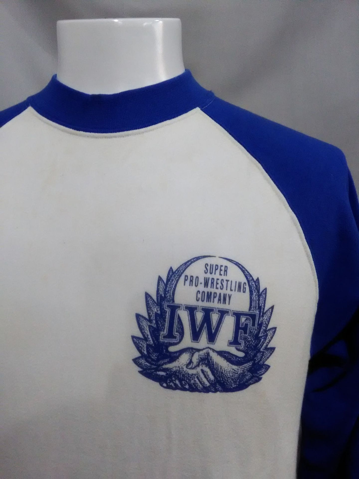 ★ SUPER PRO-Wrestling COMPANY★ IWF Trainer