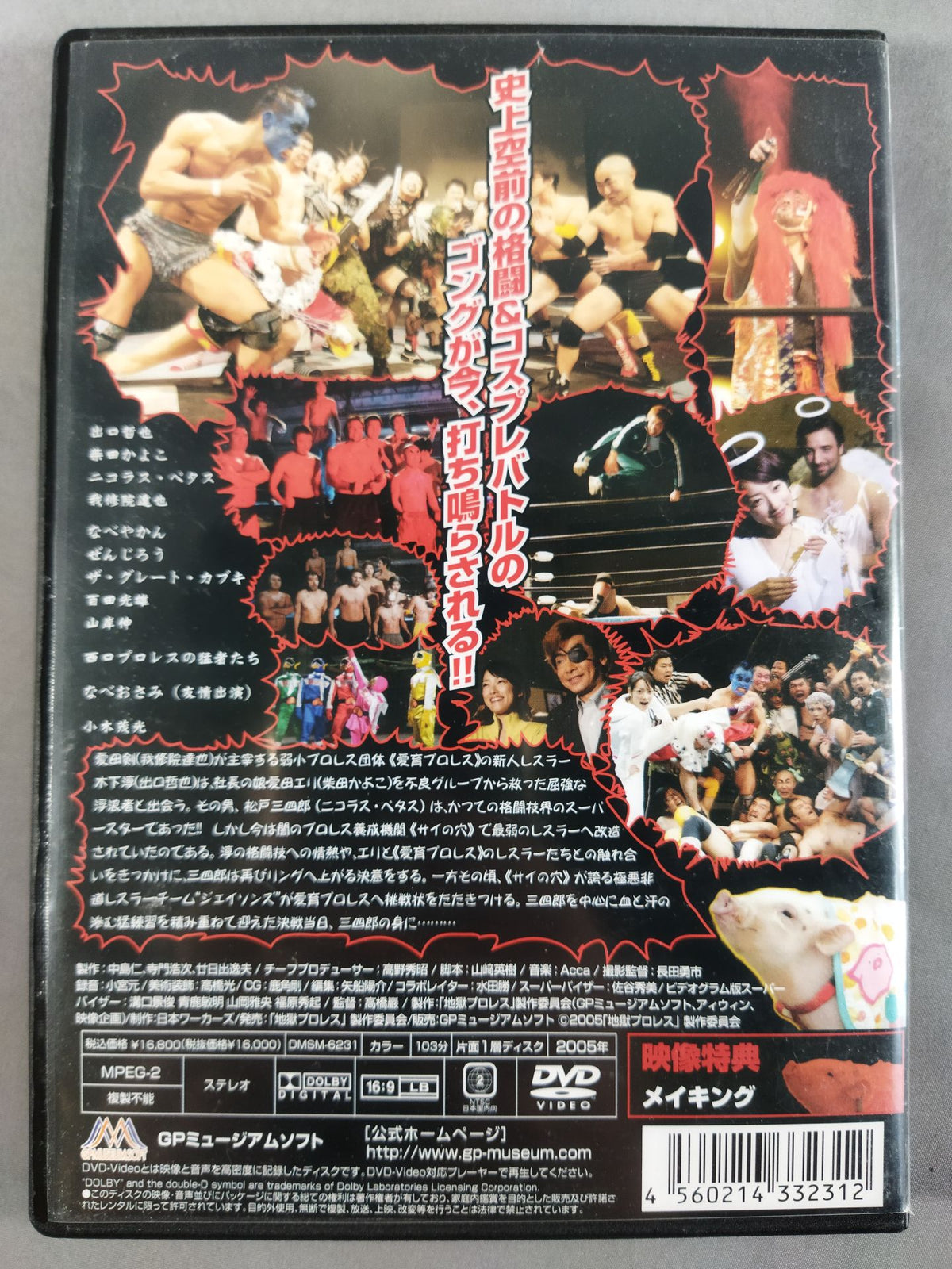 Pro Wrestling