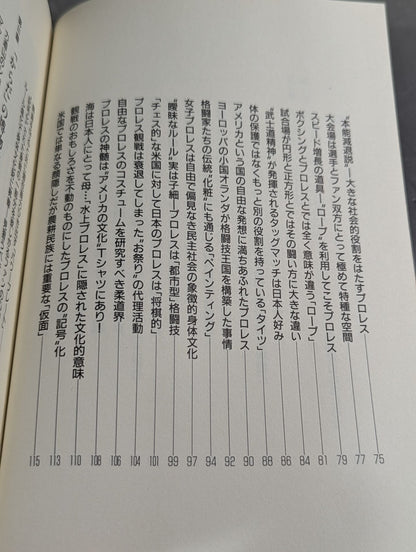 Kenshiro Matsunami's Pro Wrestling Anthropology