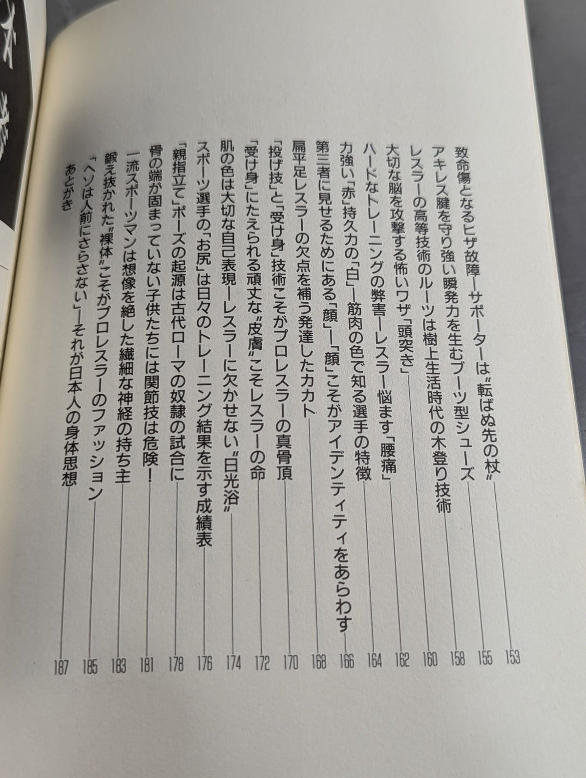 Kenshiro Matsunami's Pro Wrestling Anthropology