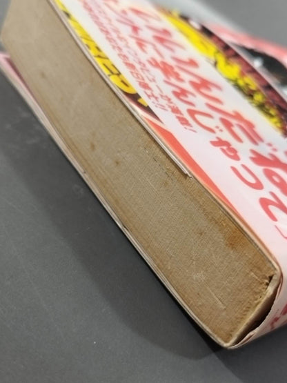 New Japan Pro Wrestling  Study Book