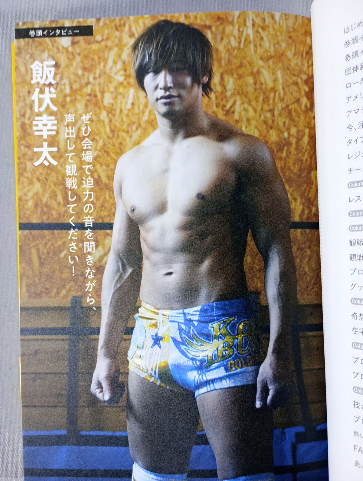 現代プロレス入門