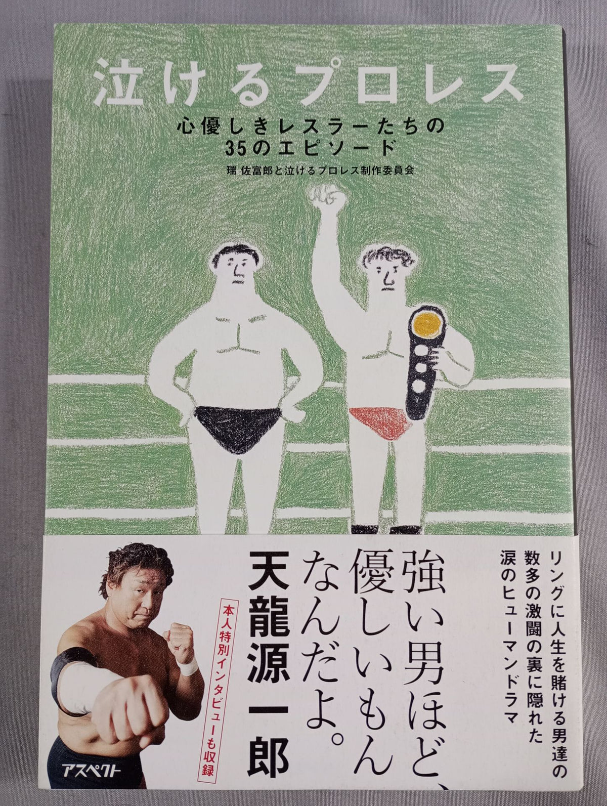 Pro Wrestling : 35 episodes of kind-hearted wrestlers