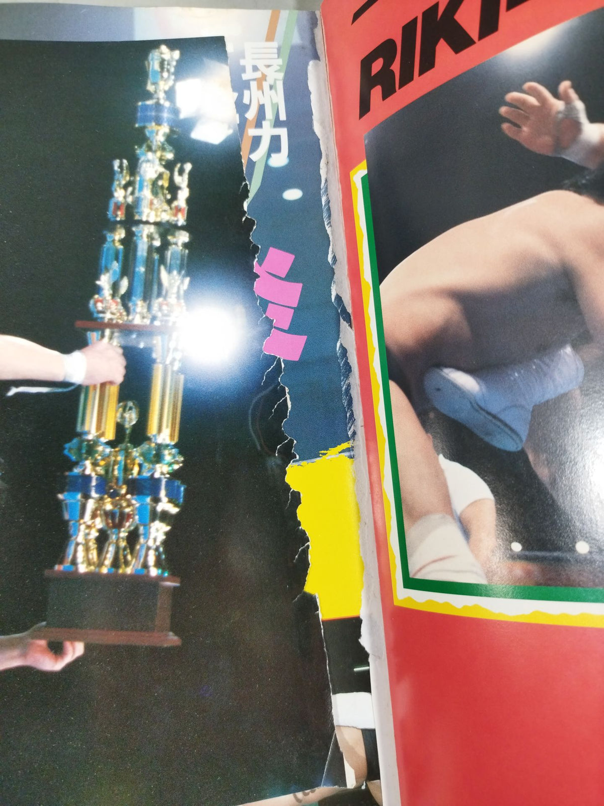 革命戦士 長州力 プロレス反乱児