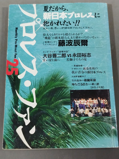 Pro Wrestling Fun 25