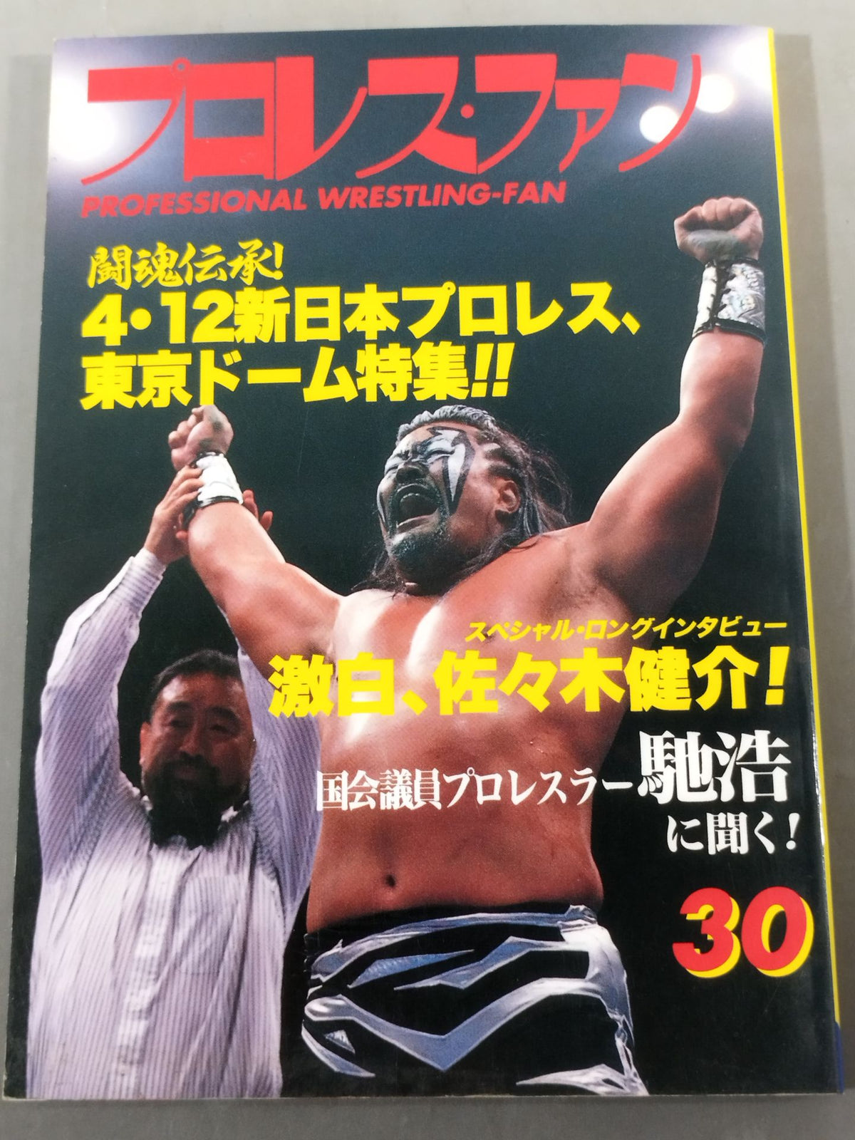 プロレス・ファン30