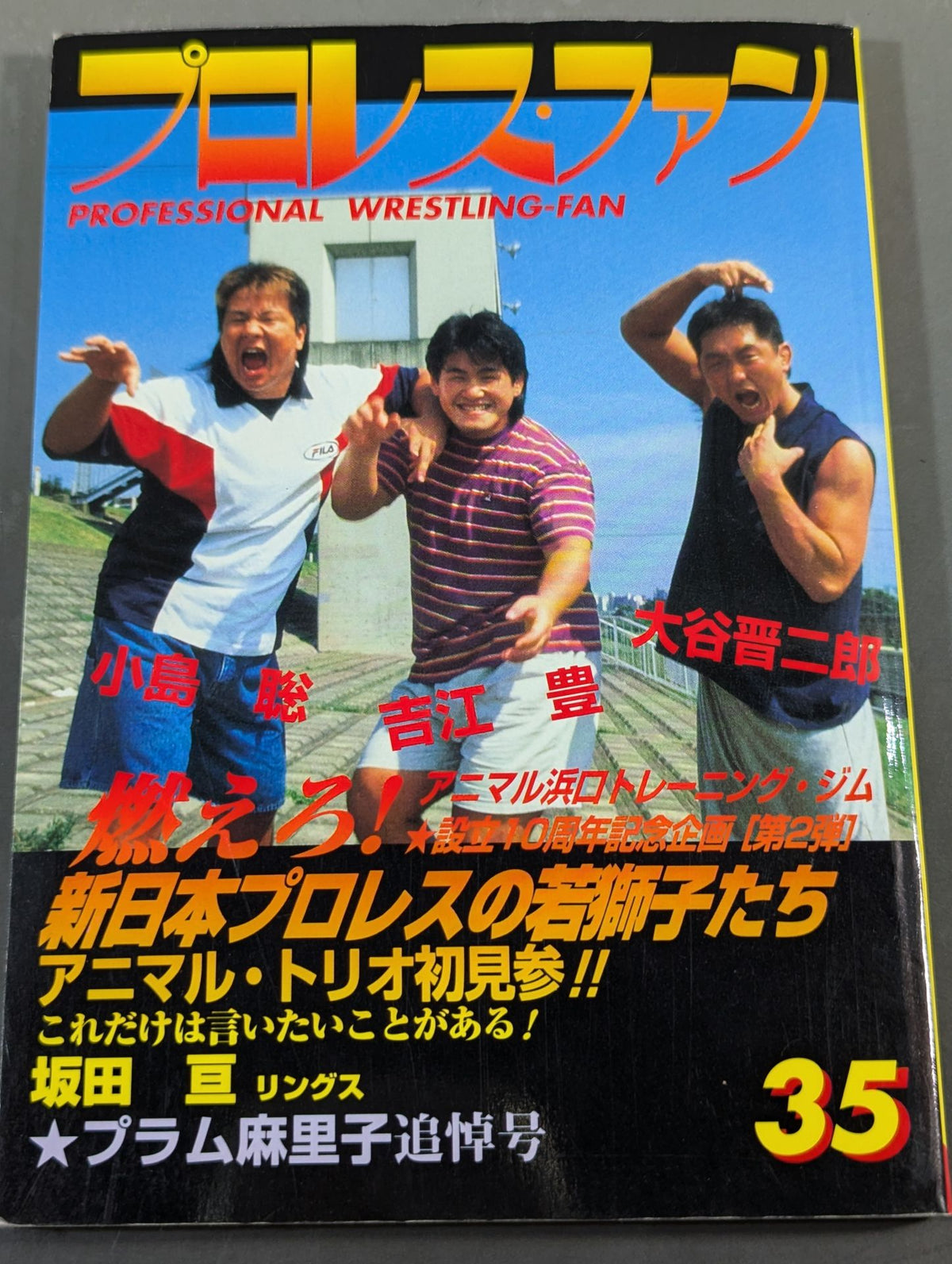 プロレス・ファン35