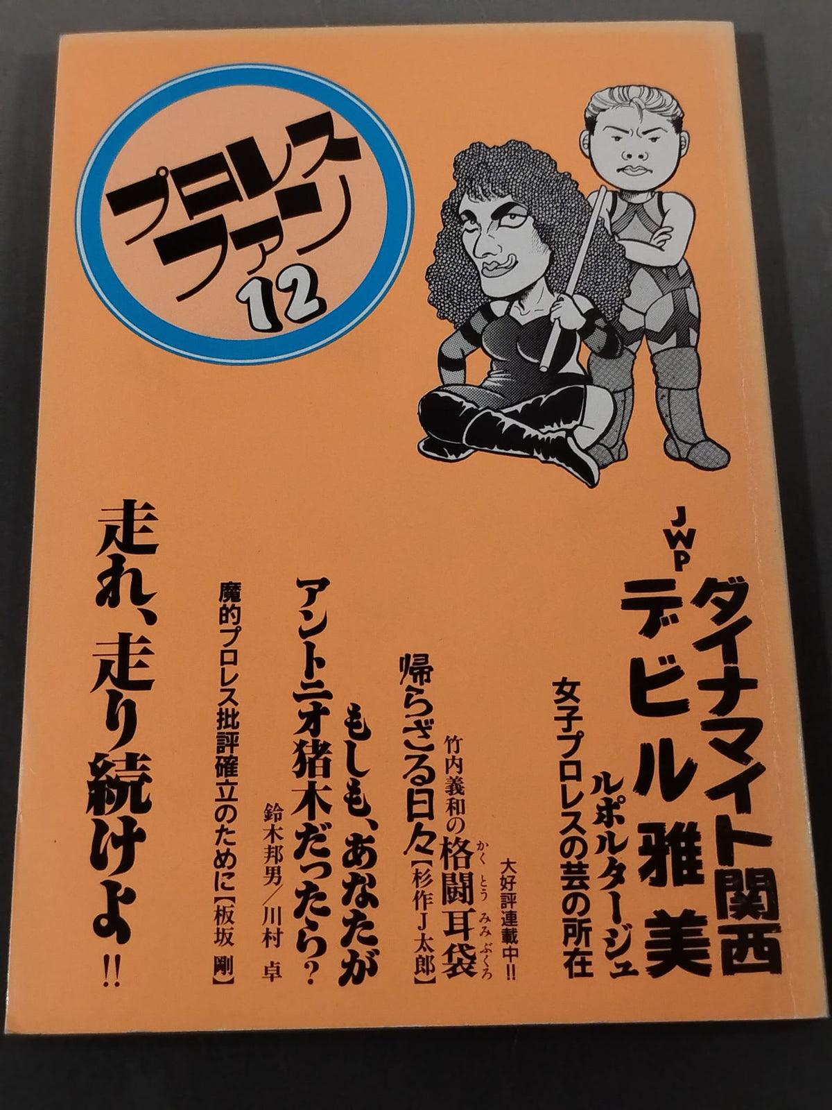プロレス・ファン12
