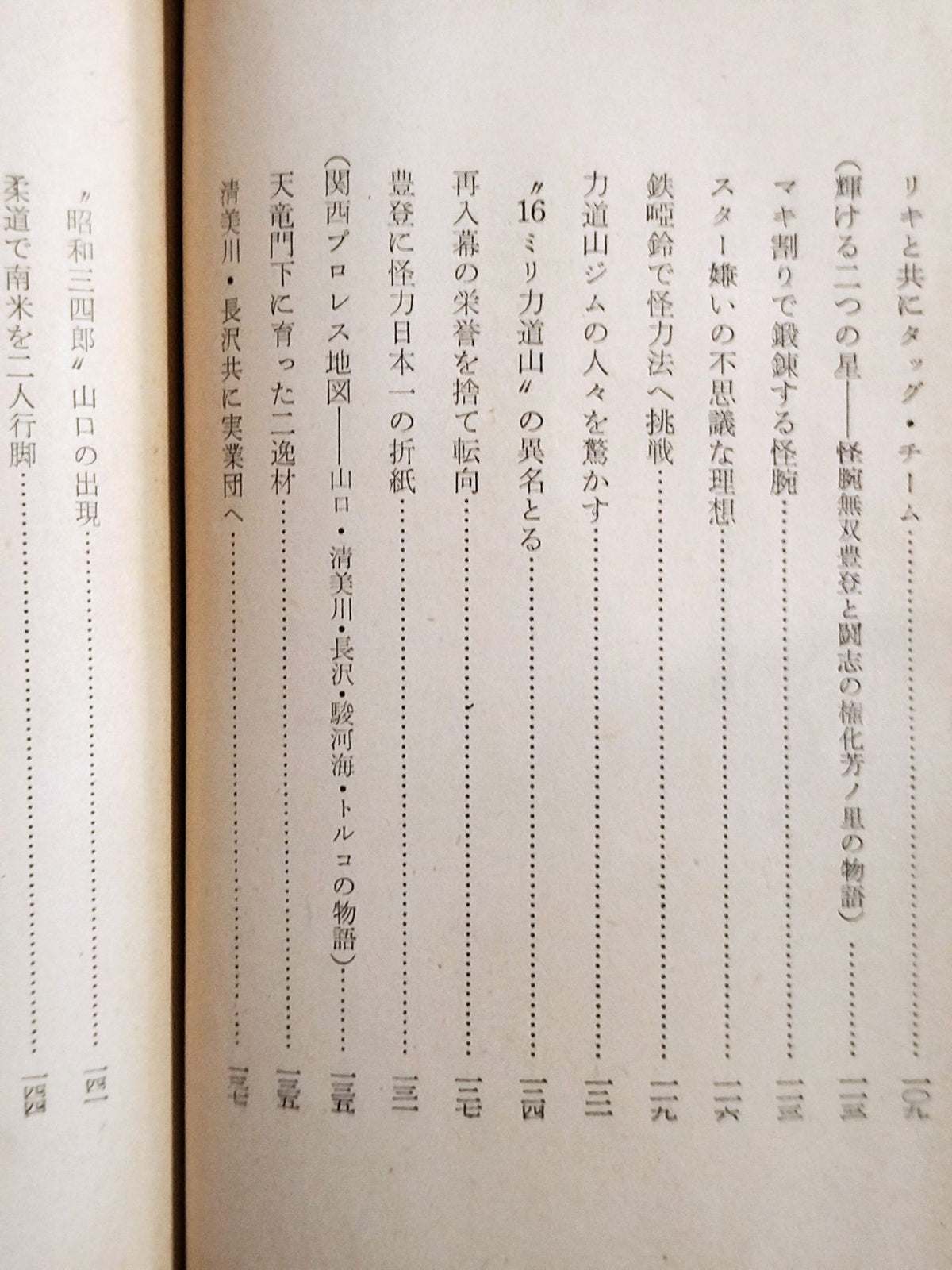 日本プロレス風雲録 スポーツ新書31