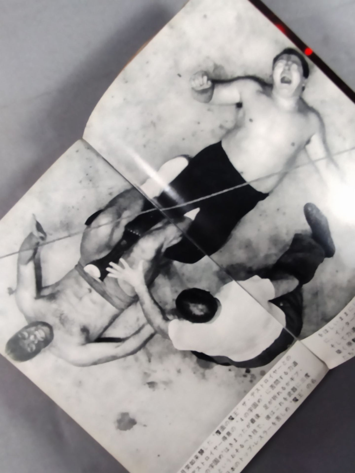 Pro Wrestling : Furious Men Who Conquer the World