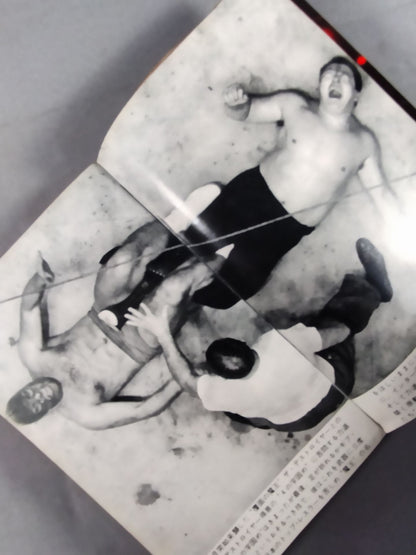 Pro Wrestling : Furious Men Who Conquer the World