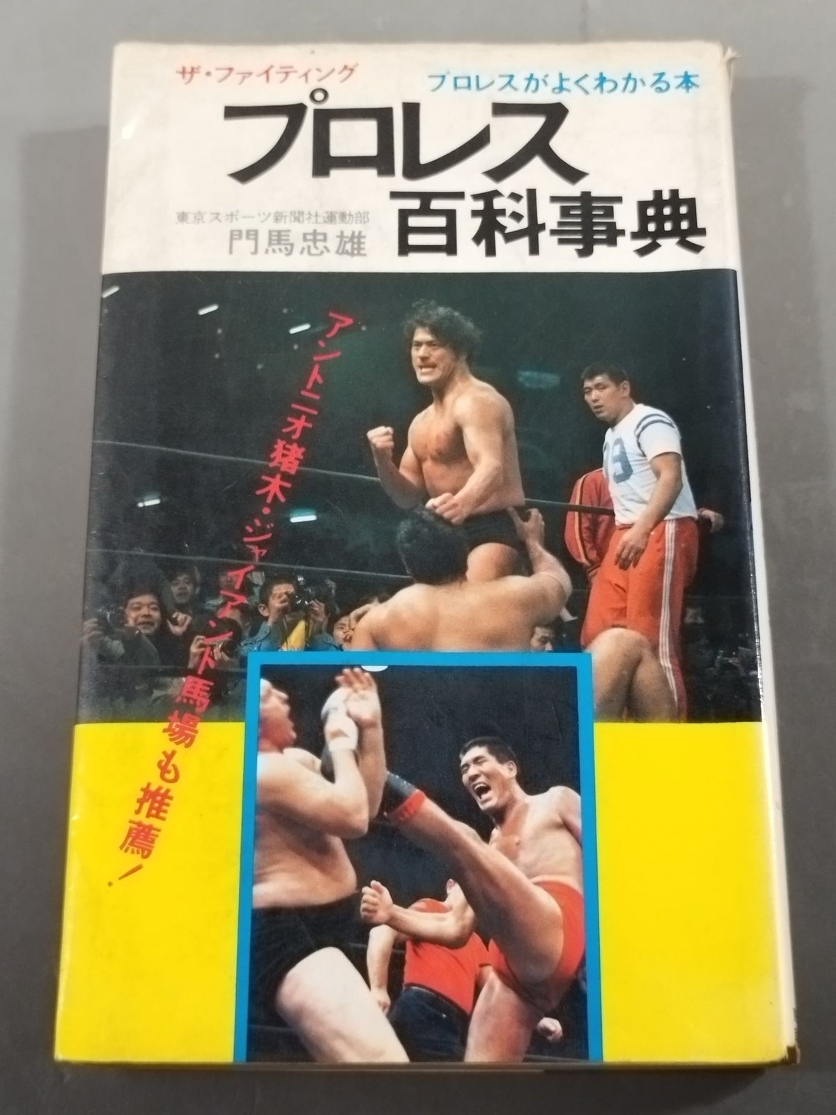 Pro Wrestling Encyclopedia: The Fighting - A Book That Explains Pro Wrestling