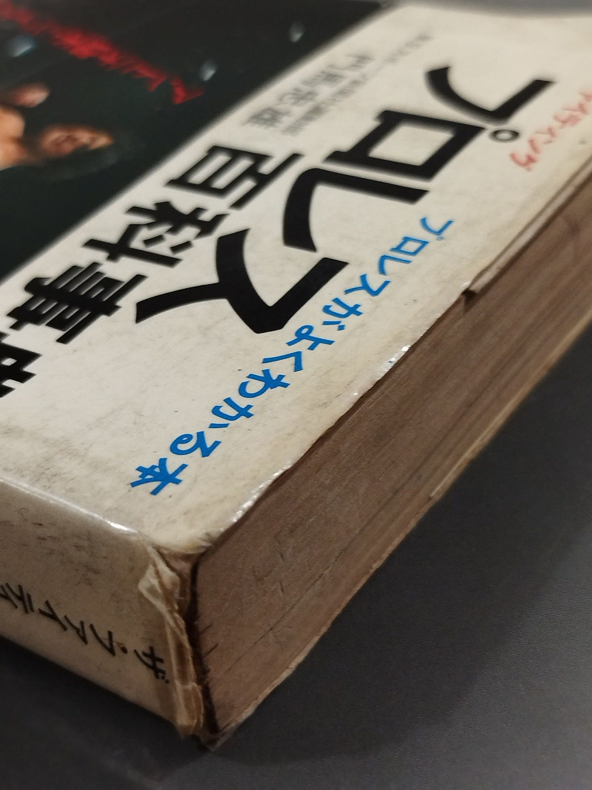 Pro Wrestling Encyclopedia: The Fighting - A Book That Explains Pro Wrestling