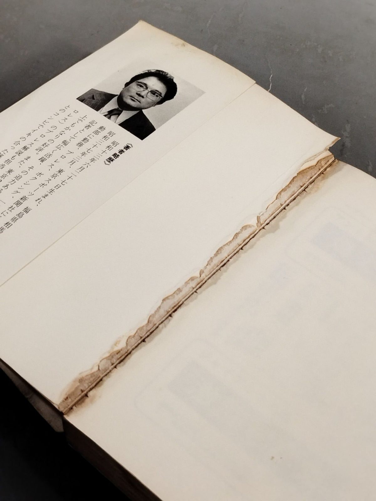 Pro Wrestling Encyclopedia: The Fighting - A Book That Explains Pro Wrestling