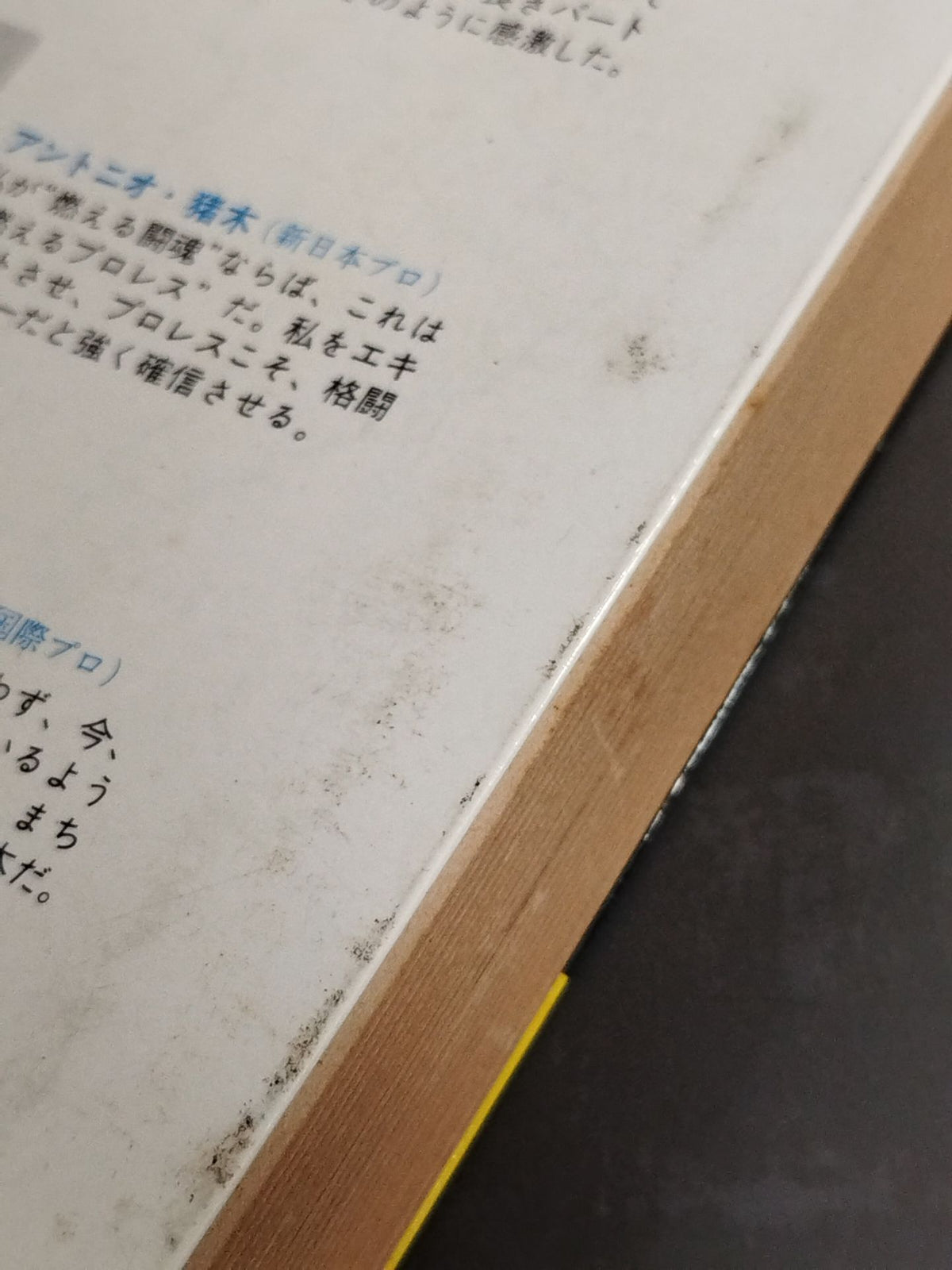 Pro Wrestling Encyclopedia: The Fighting - A Book That Explains Pro Wrestling