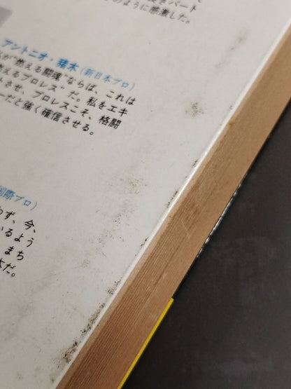 Pro Wrestling Encyclopedia: The Fighting - A Book That Explains Pro Wrestling