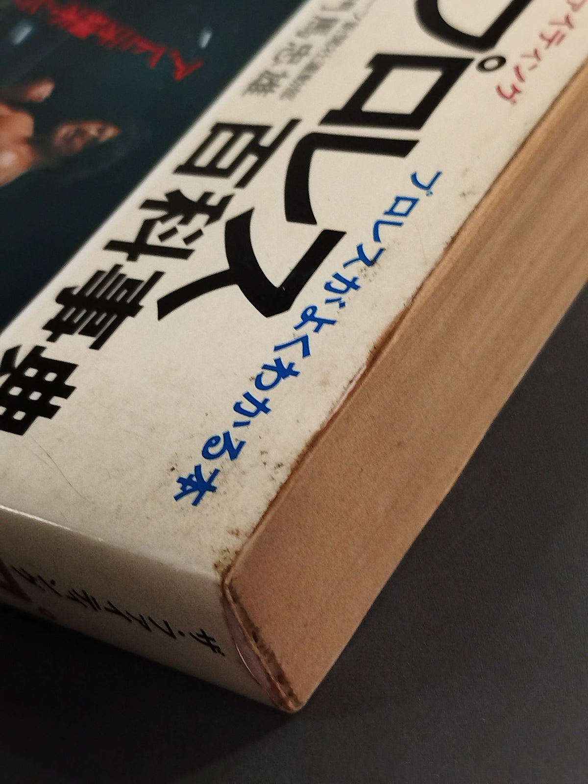 Pro Wrestling Encyclopedia: The Fighting - A Book That Explains Pro Wrestling