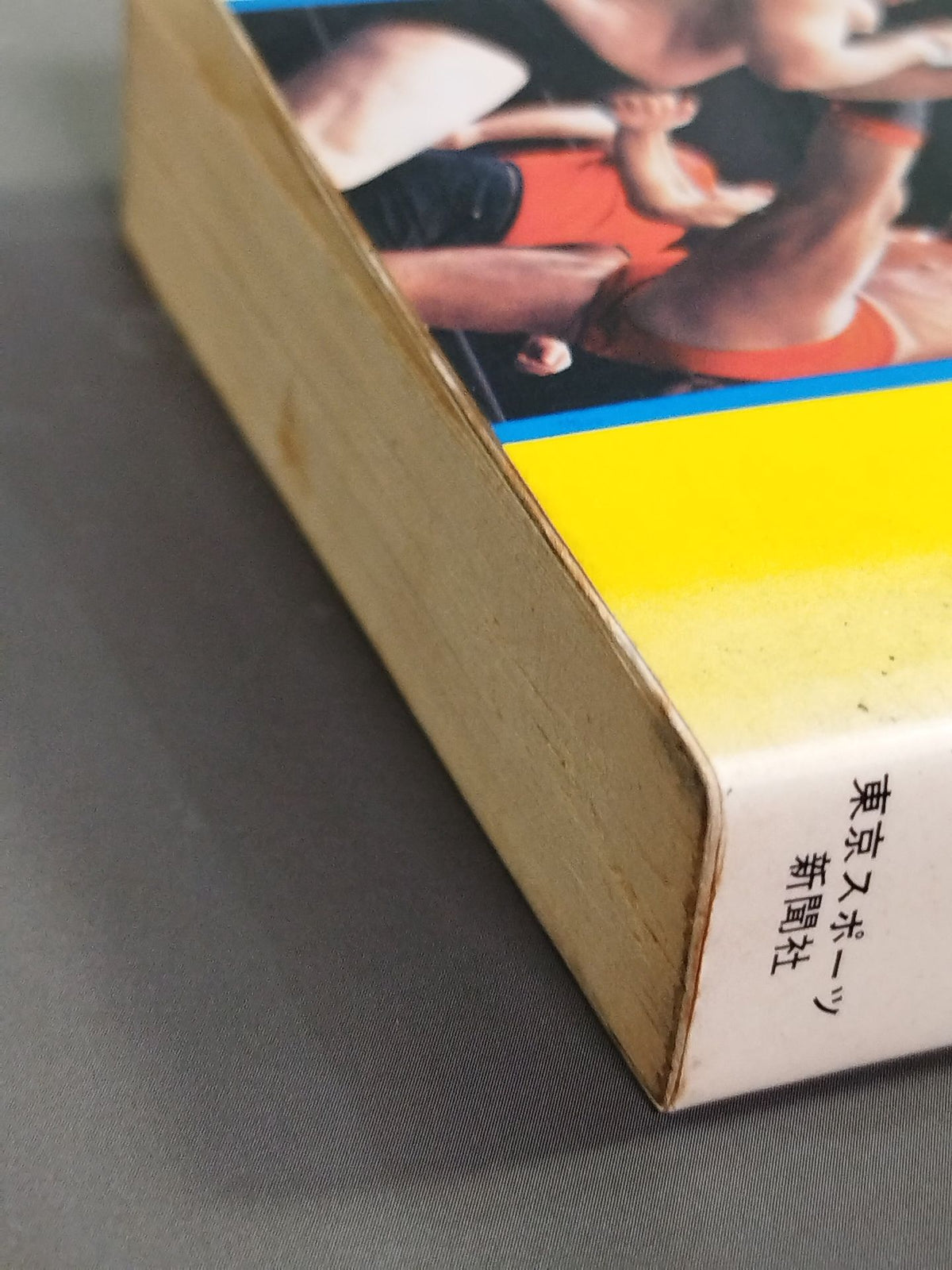 Pro Wrestling Encyclopedia: The Fighting - A Book That Explains Pro Wrestling