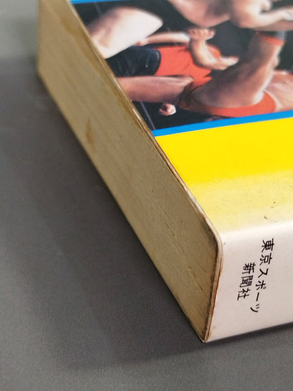 Pro Wrestling Encyclopedia: The Fighting - A Book That Explains Pro Wrestling