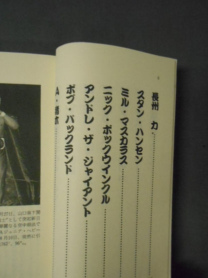 プロレス スーパースターおもしろ読本