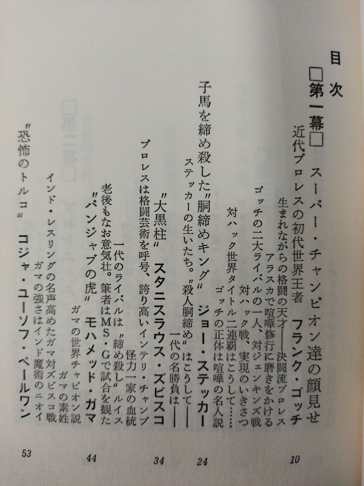 格闘技スーパー・スター
