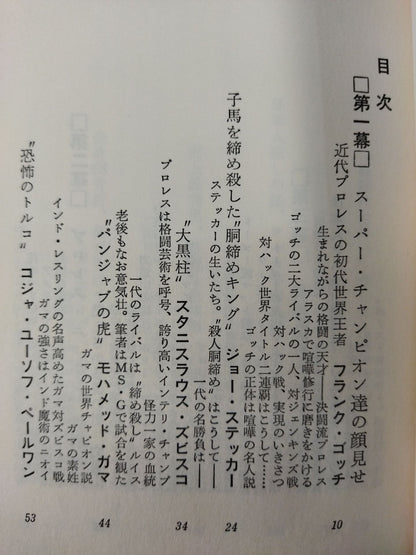 格闘技スーパー・スター
