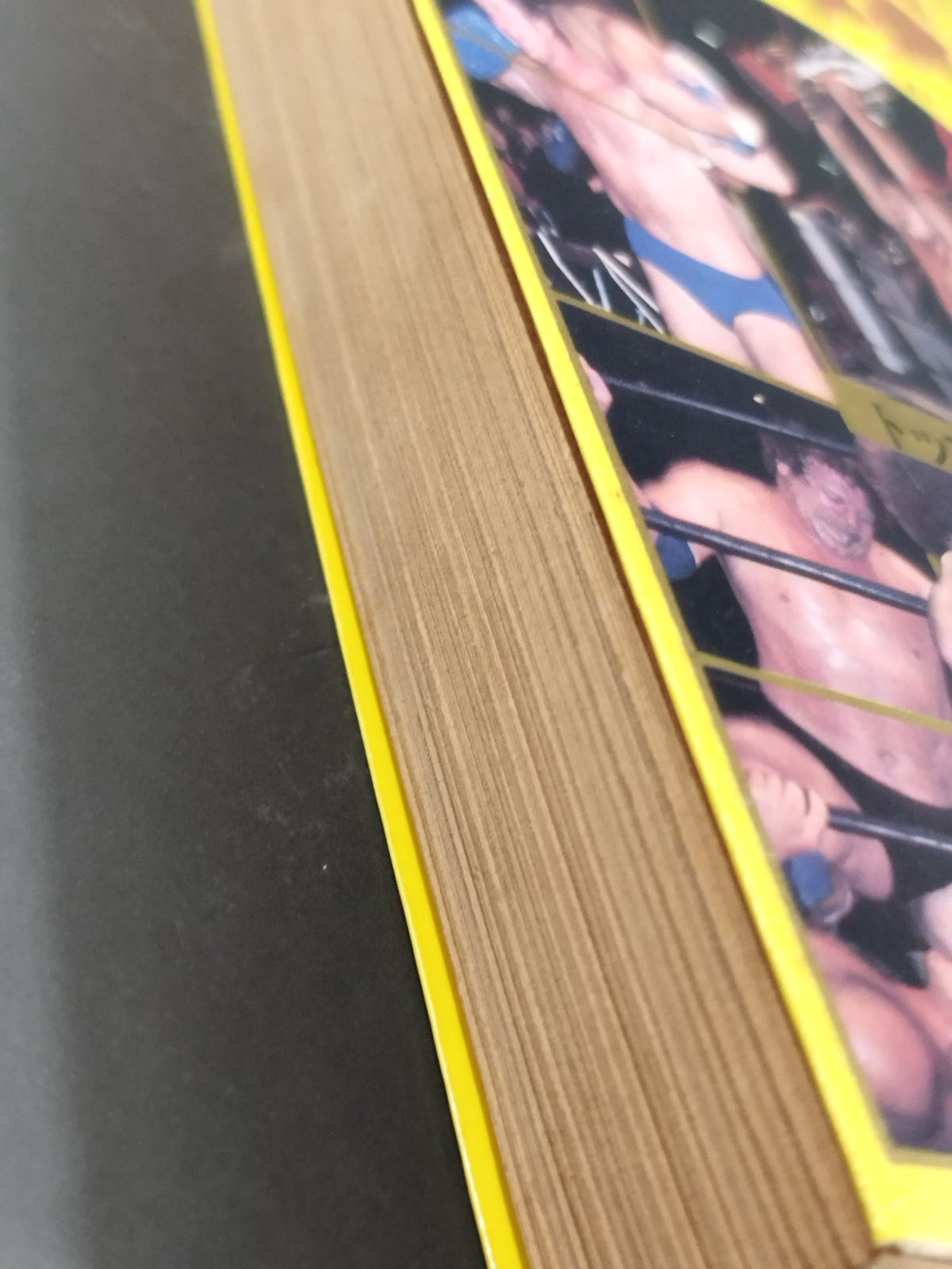 Revised Pro Wrestling  Encyclopedia