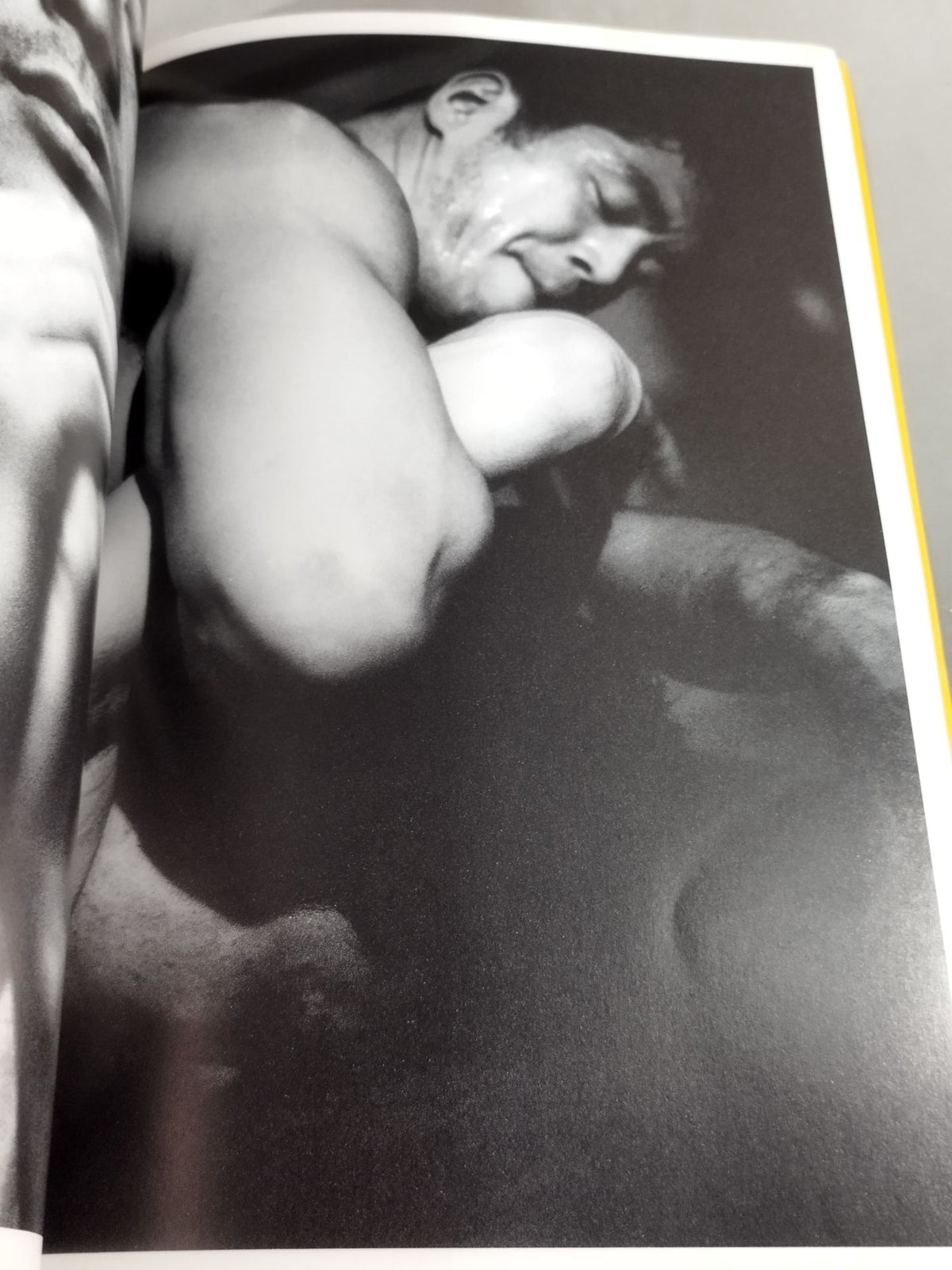 Nobuhiko Takada photo  collection ALL FOR WIN