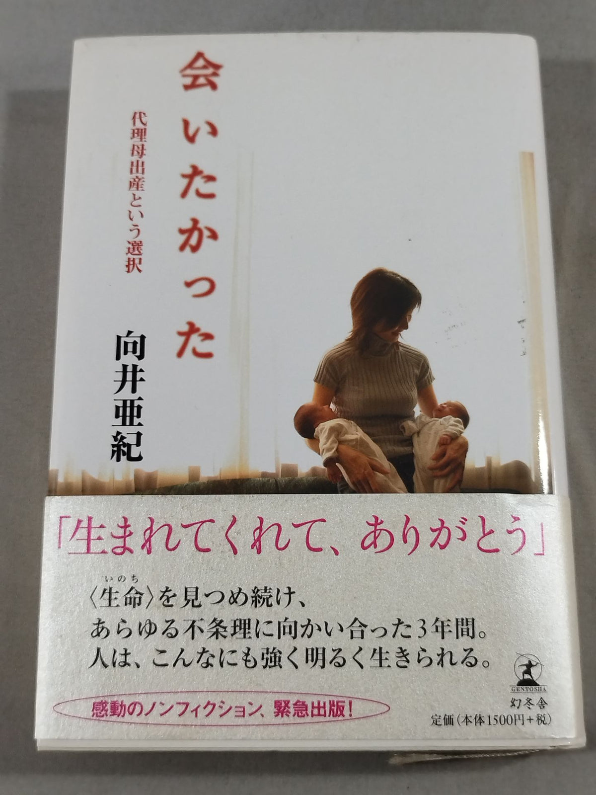会いたかった 代理母出産という選択