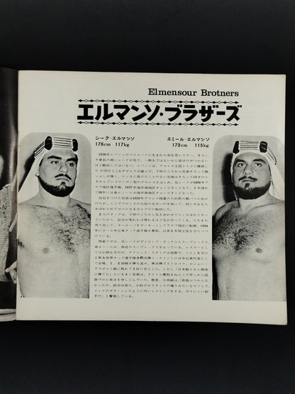69IWAワールドタッグ挑戦シリーズ