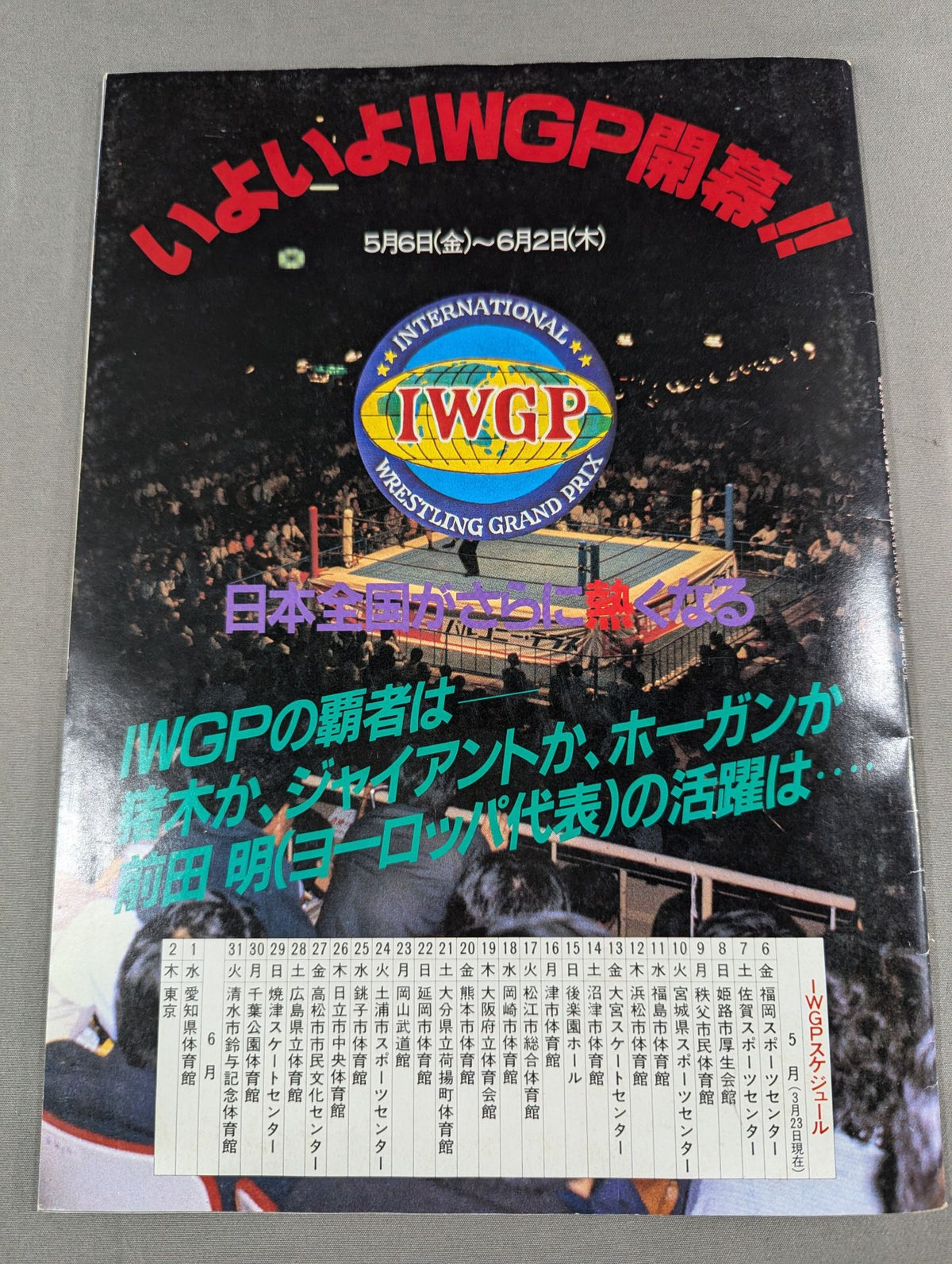 THE WRESTLER Big Fight Series Vol.2 Vol.16