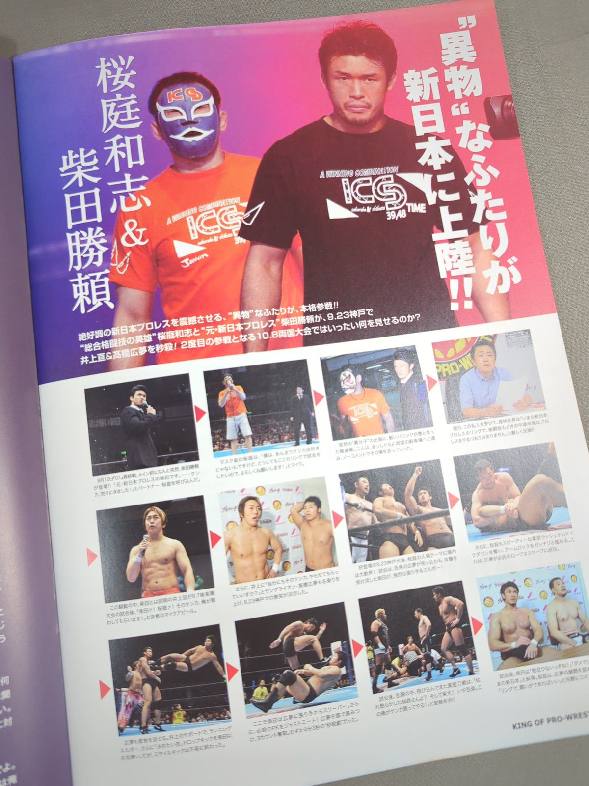 King of Pro-Wrestling 2012 / KING OF PRO- Wrestling 2012