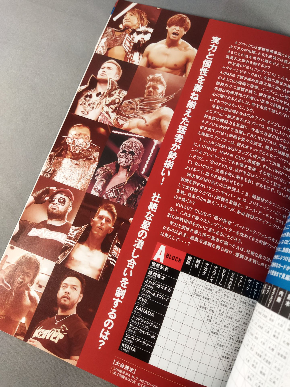 G1 CLIMAX 29 / G1クライマックス29