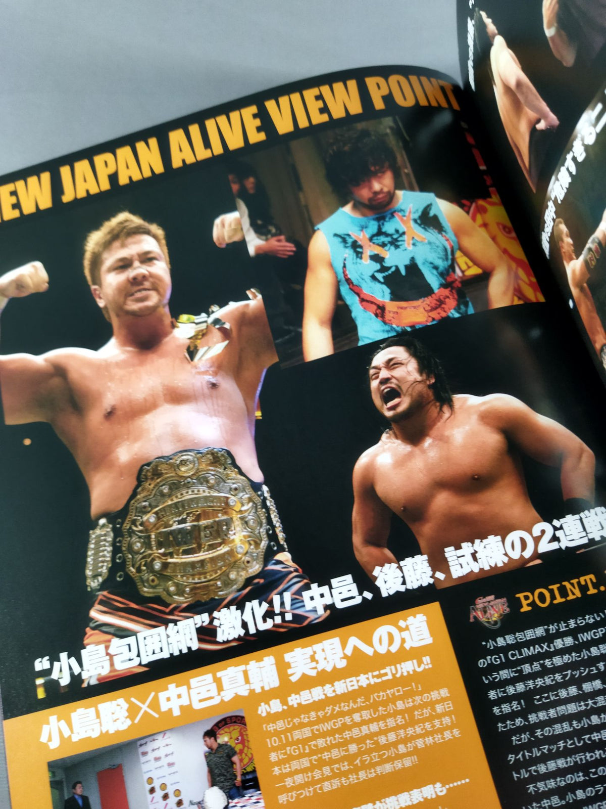 NJPW OFFICIAL MAGAZINE 2010 Vol.8