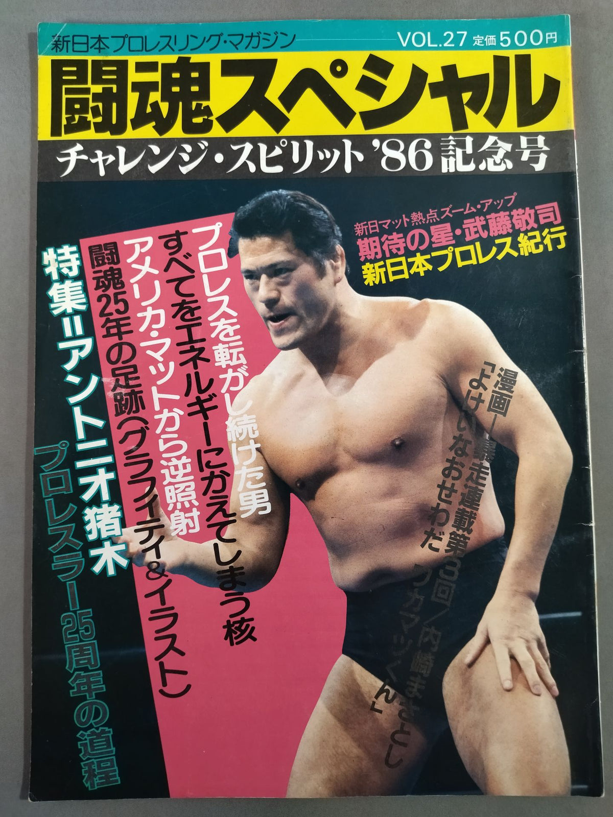 Fighting Spirit Special 27