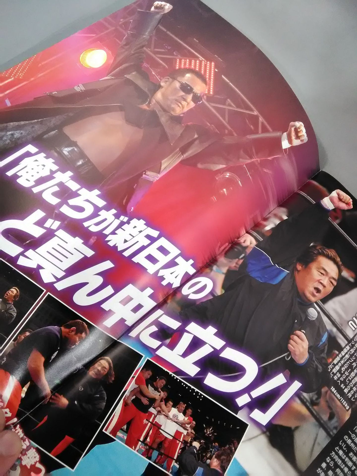 Fighting Spirit Special Special Issue CHONO STREAM