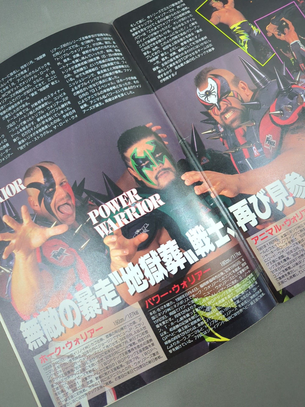 Fighting Spirit Special 119