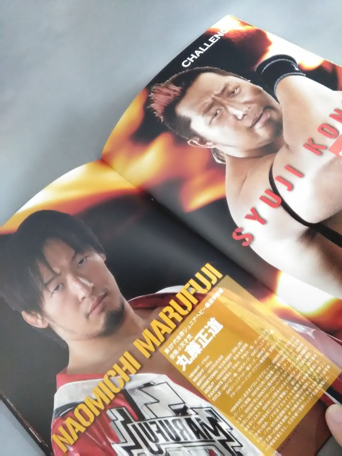 Pro Wrestling  LOVE in Ryogoku  vol.6