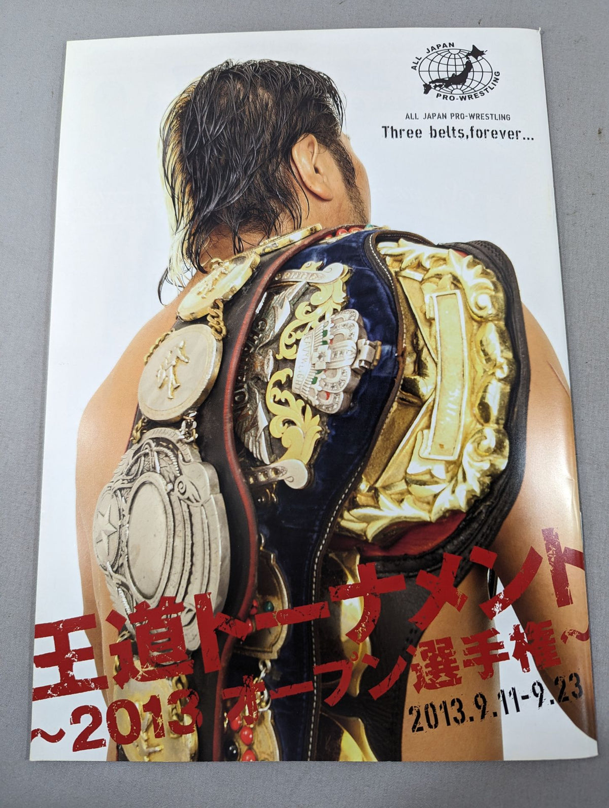 2013 1st Royal Road Tournament ~2013 Open Fighters  Rights~