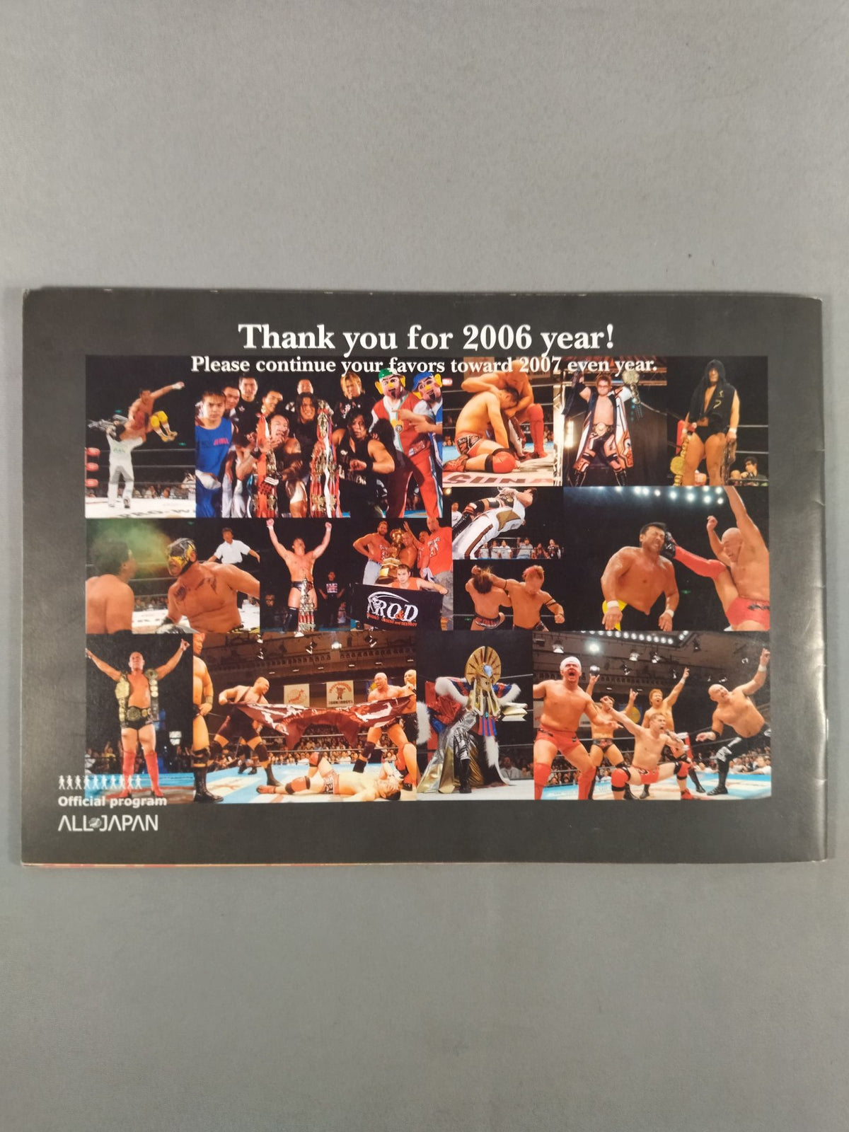 【Nozomi Aratani Hand Signed Autograph 】2006Real World Tag League 