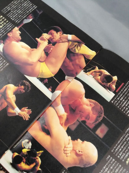 HYBRID Vol.4 / PANCRASE TOUR 1996 【TRUTH】