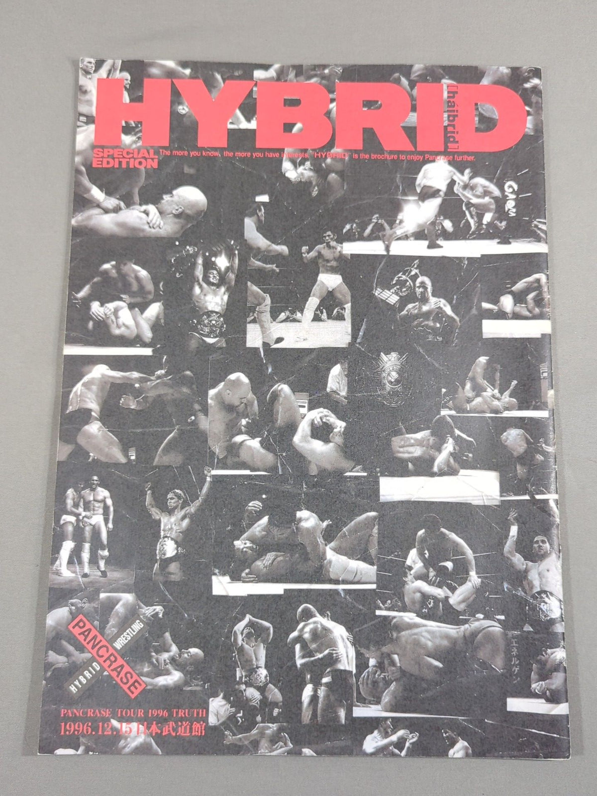 Pancrase  / HYBRID SPECIAL EDITION 1996 TRUTH
