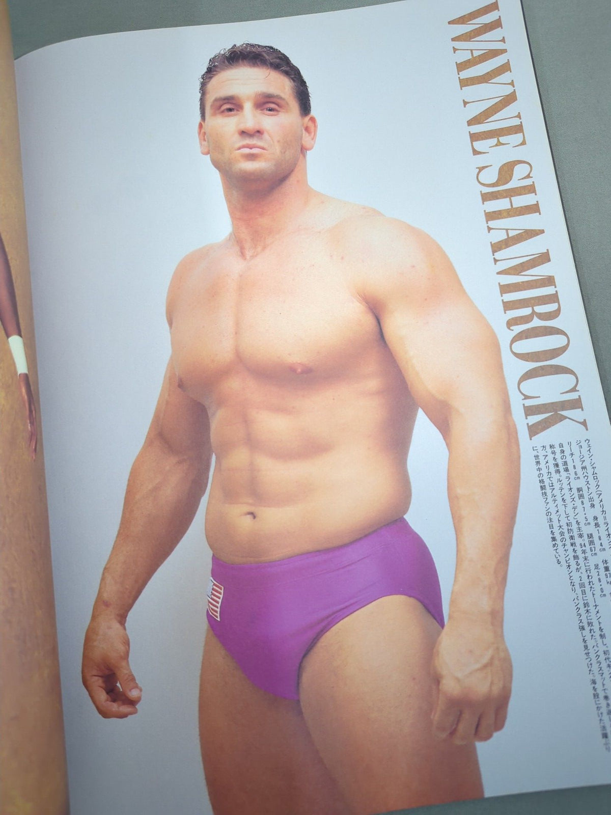 Pancrase  / HYBRID Vol.4 PANCRASE TOUR 1996 TRUTH