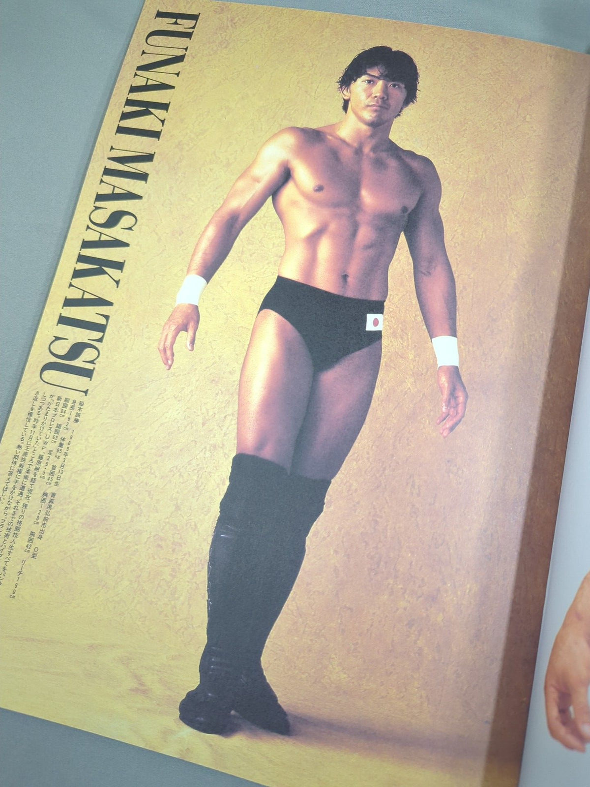Pancrase  / HYBRID Vol.4 PANCRASE TOUR 1996 TRUTH