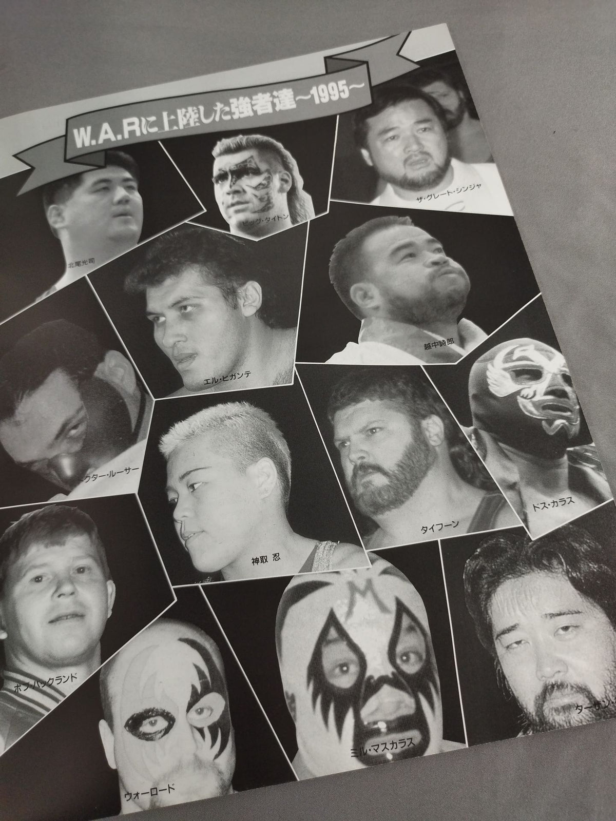 WAR / 1996 W.A.R PRO - Wrestling  GUIDE BOOK