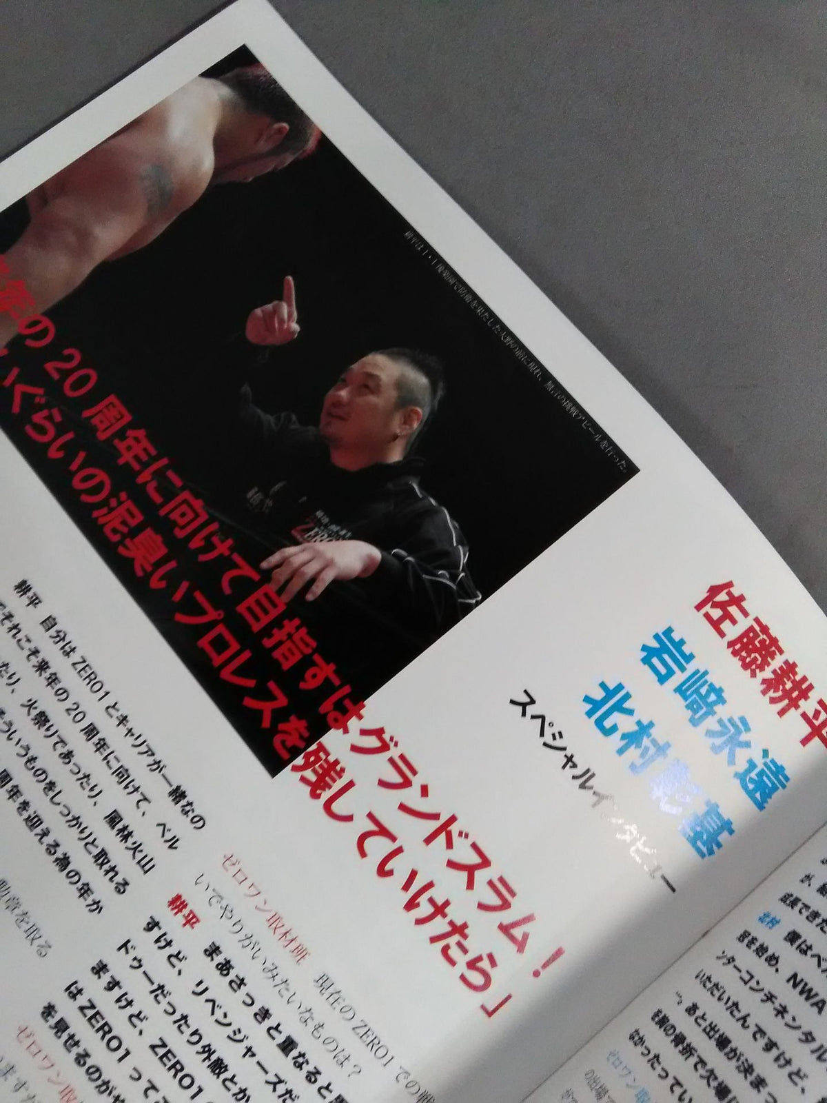 PRO-Wrestling  ZERO1 OFFICIAL PAMPHLET 2020 SPRING(2)