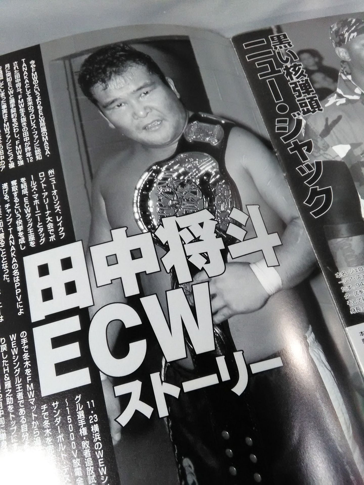 FMW GOLDEN SERIES / ゴールデンシリーズ