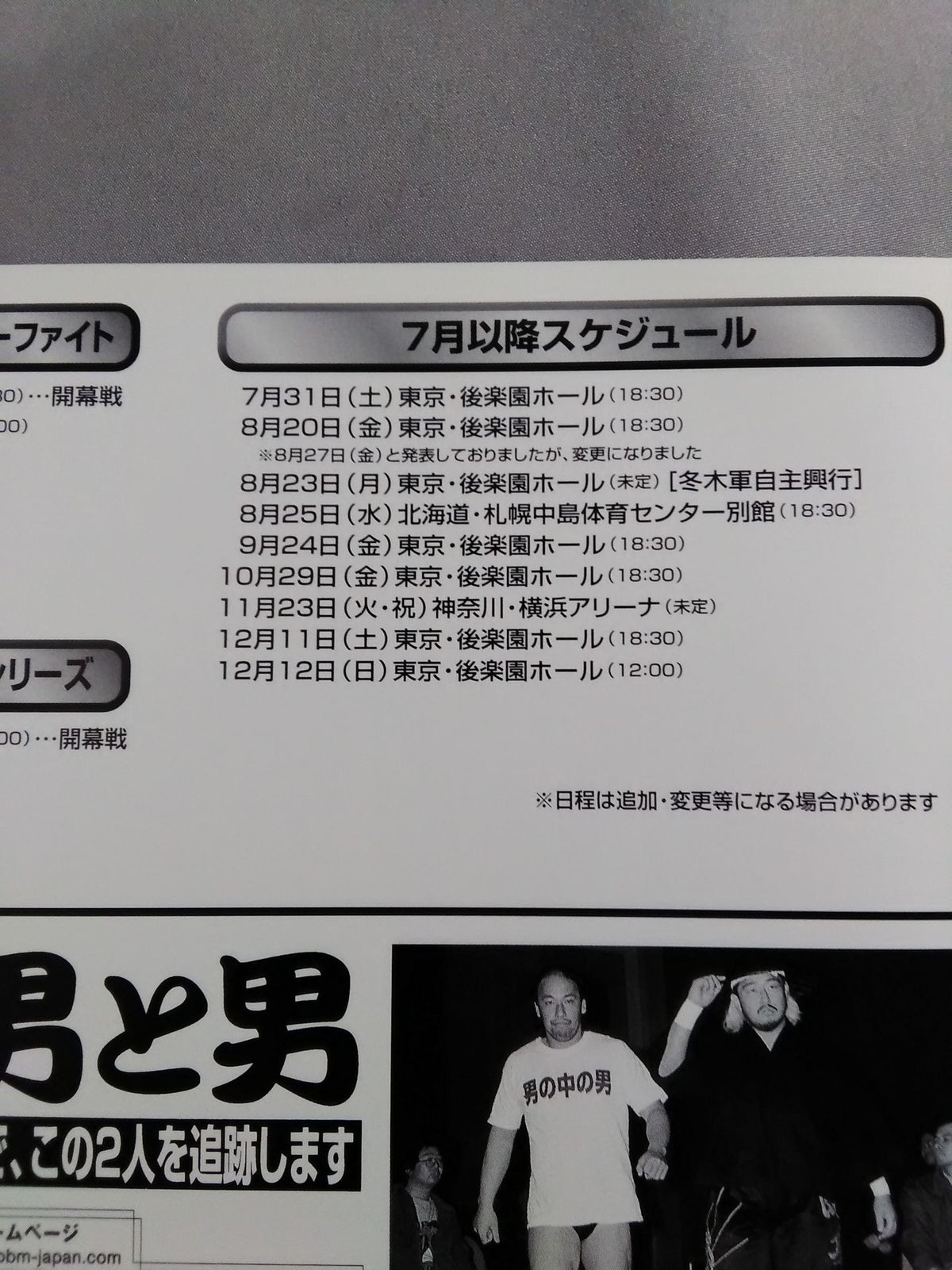 FMW / OFFICIAL GUIDE BOOK 1999 vol.2