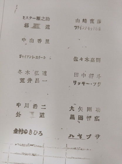 FMW / OFFICIAL GUIDE BOOK 1999 vol.2