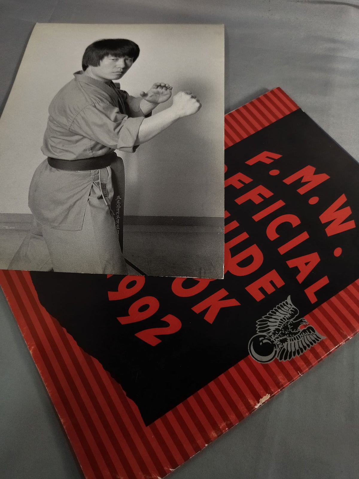 [Pro-Photo Included] F.M.W. OFFICIAL GUIDE BOOK 1992 vol.II